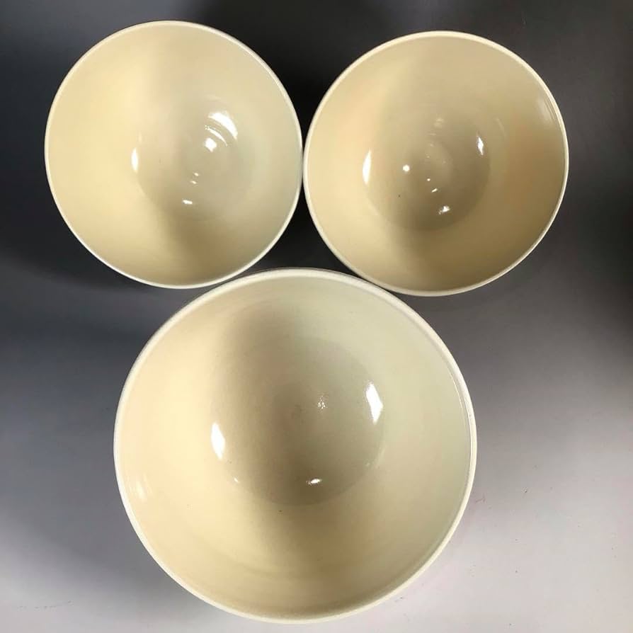 Ｎ６０１　茶碗　十客　『京焼』『山川巌造』『仁清写ツボツボ絵』『数茶碗』　共箱 京焼・清水焼 山川巌（二代）作 仁清写 菊之絵 茶碗 無傷 共箱